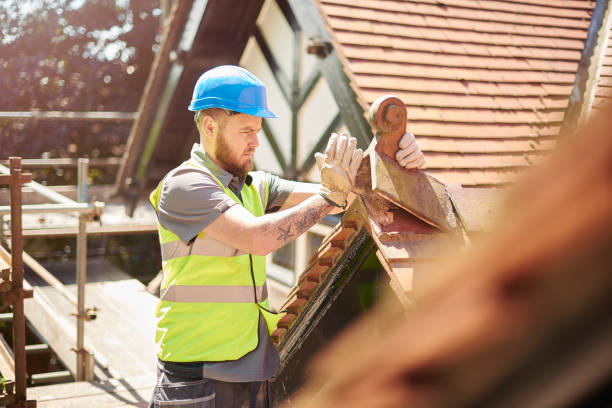 Best Local Roofing Companies  in Honeygo, MD